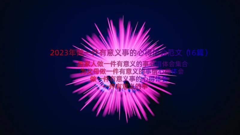 2023年做一件有意义事的心得体会范文（16篇）