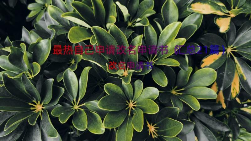 最热自己申请改名申请书（汇总21篇）