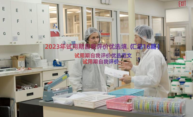 2023年试用期自我评价优选填（汇总16篇）