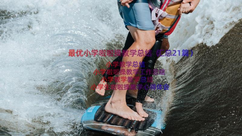 最优小学啦啦操教学总结（汇总21篇）