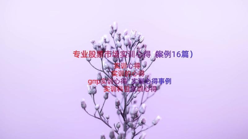 专业股票市场实训心得（案例16篇）