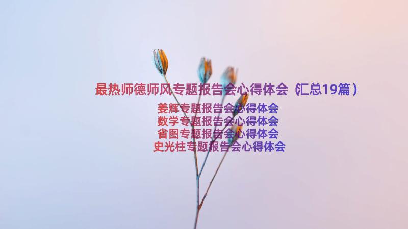 最热师德师风专题报告会心得体会（汇总19篇）