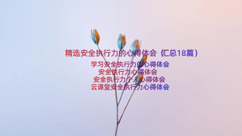 精选安全执行力的心得体会（汇总18篇）