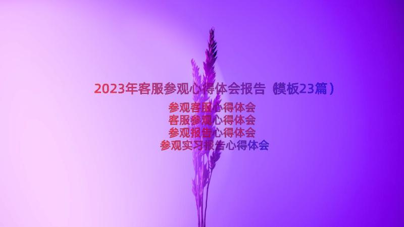 2023年客服参观心得体会报告（模板23篇）