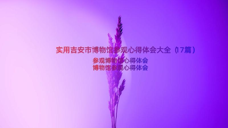 实用吉安市博物馆参观心得体会大全（17篇）