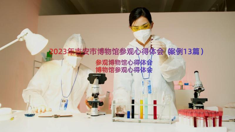 2023年吉安市博物馆参观心得体会（案例13篇）