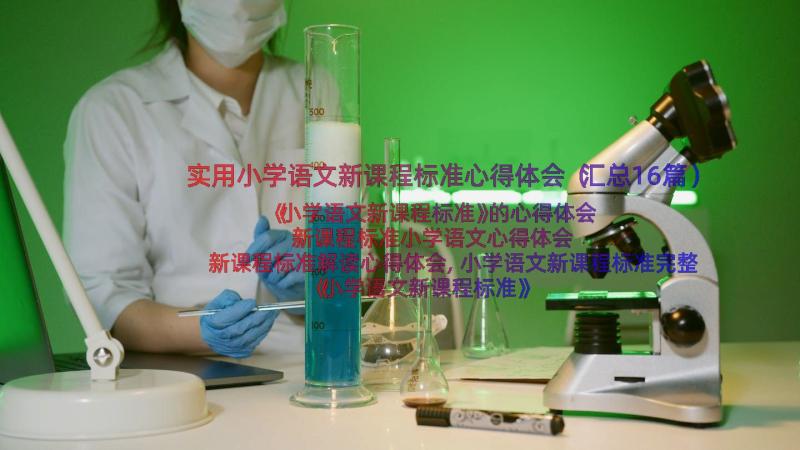 实用小学语文新课程标准心得体会（汇总16篇）