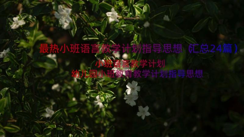 最热小班语言教学计划指导思想（汇总24篇）