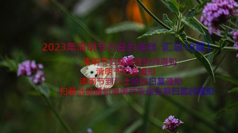 2023年清明节扫墓的通知（汇总18篇）