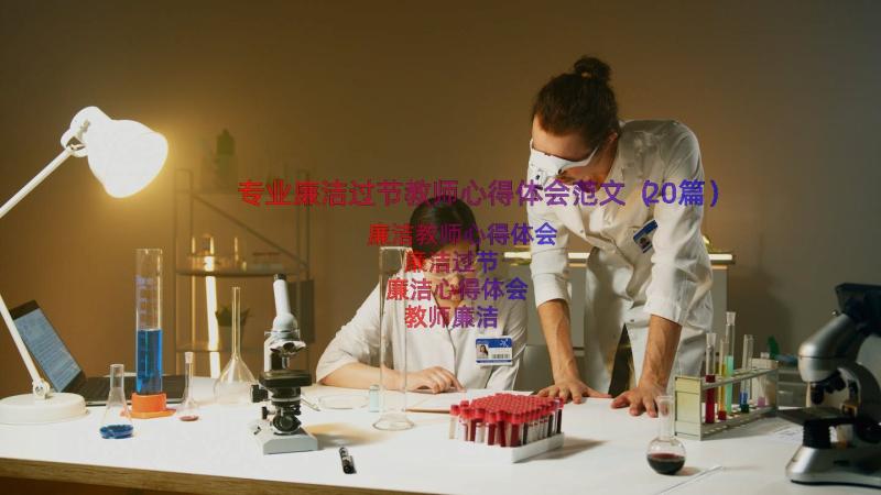 专业廉洁过节教师心得体会范文（20篇）