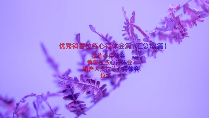 优秀销售拉练心得体会篇（汇总17篇）