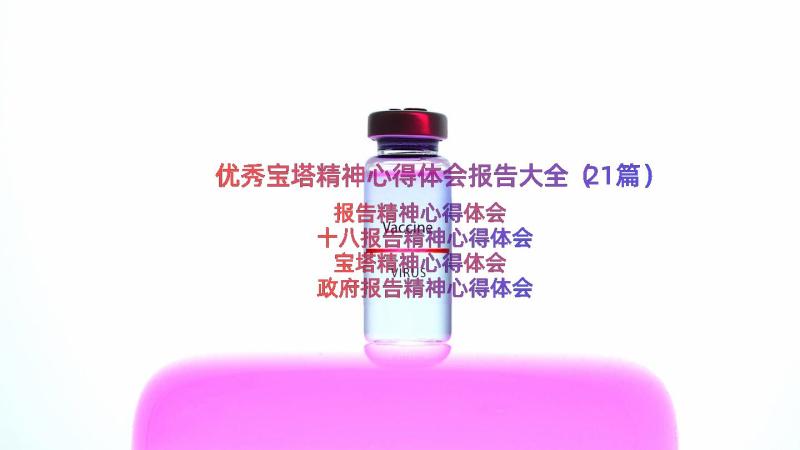 优秀宝塔精神心得体会报告大全（21篇）