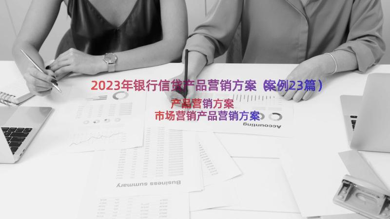 2023年银行信贷产品营销方案（案例23篇）