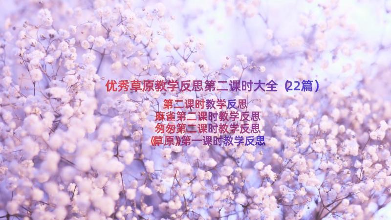 优秀草原教学反思第二课时大全（22篇）