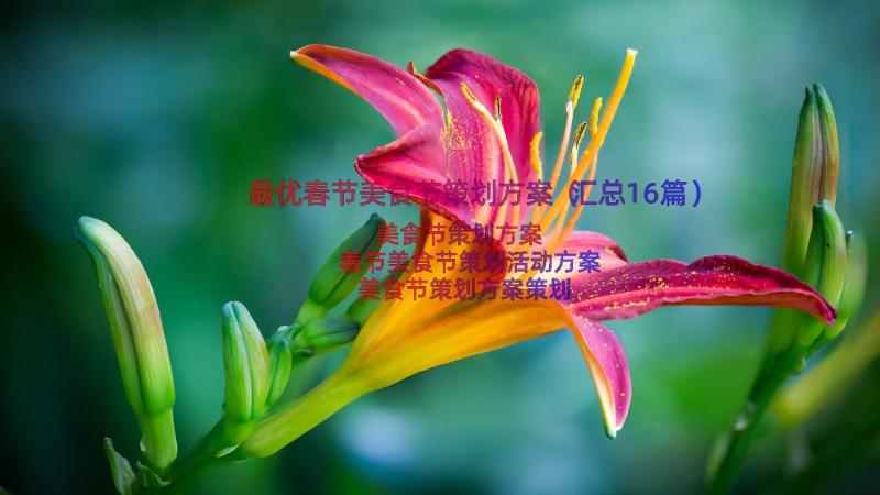 最优春节美食节策划方案（汇总16篇）