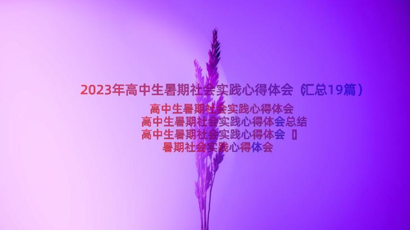 2023年高中生暑期社会实践心得体会（汇总19篇）