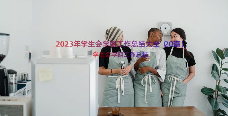 2023年学生会学期工作总结大全（20篇）