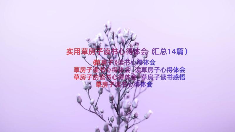 实用草房子读书心得体会（汇总14篇）