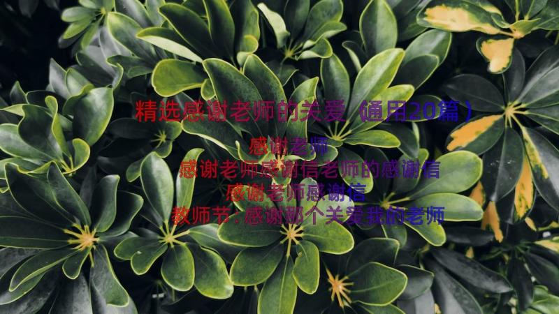 精选感谢老师的关爱（通用20篇）