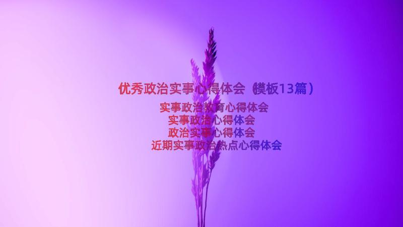 优秀政治实事心得体会（模板13篇）