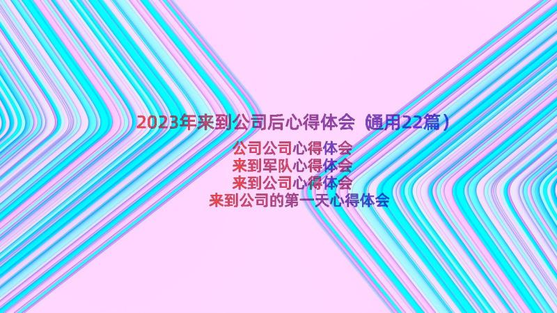 2023年来到公司后心得体会（通用22篇）