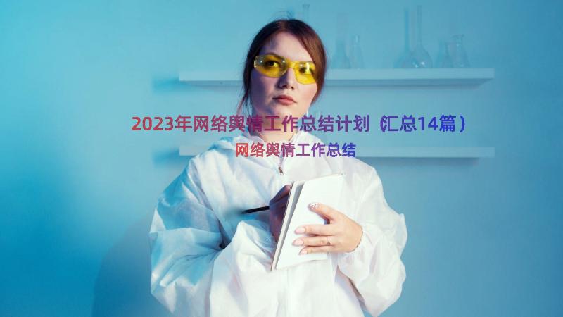 2023年网络舆情工作总结计划（汇总14篇）