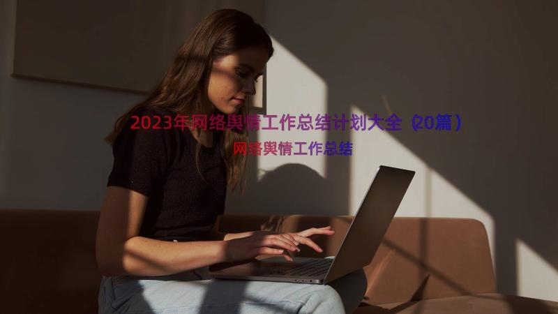 2023年网络舆情工作总结计划大全（20篇）