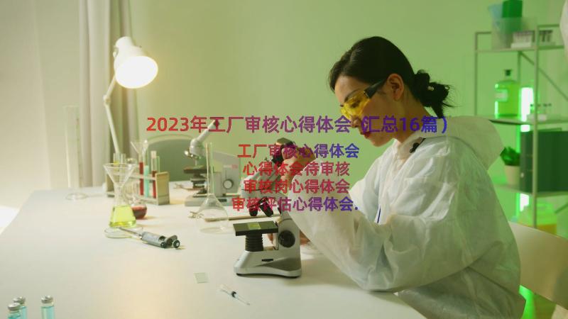 2023年工厂审核心得体会（汇总16篇）