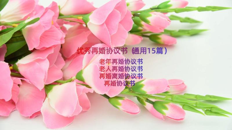 优秀再婚协议书（通用15篇）