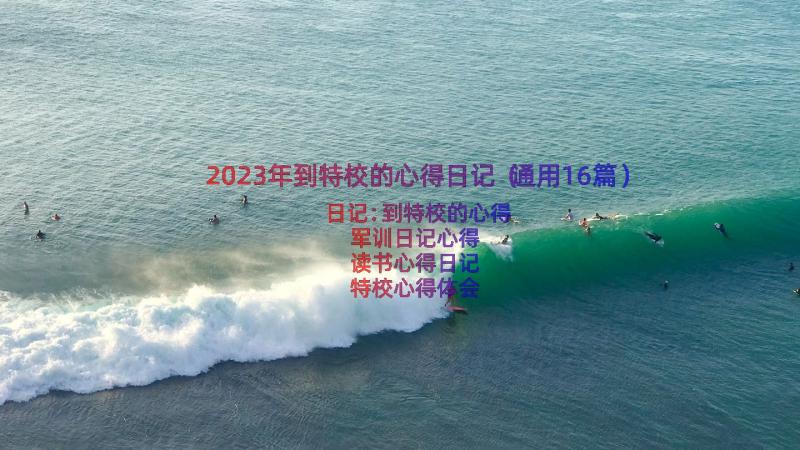 2023年到特校的心得日记（通用16篇）