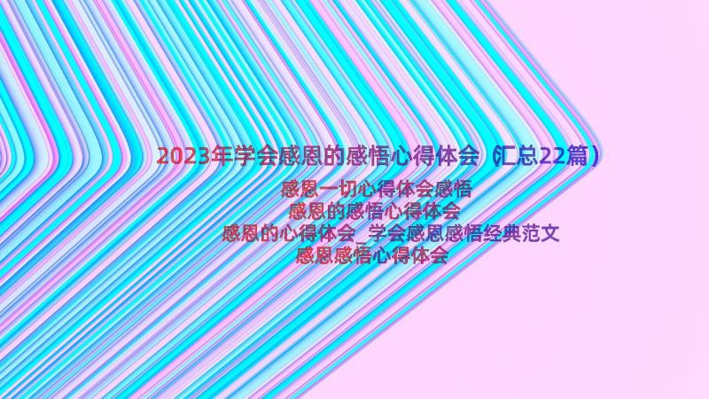 2023年学会感恩的感悟心得体会（汇总22篇）