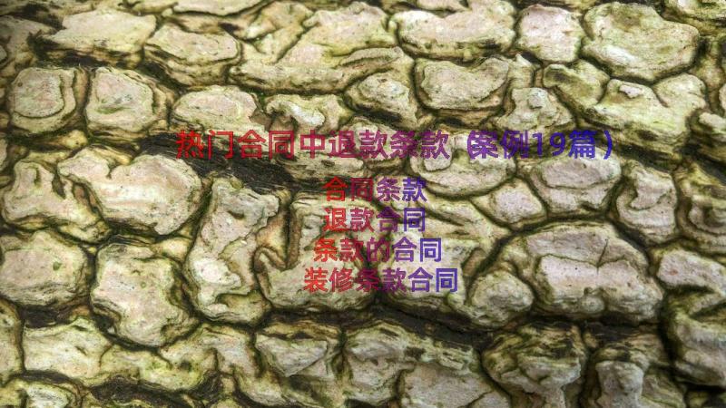 热门合同中退款条款（案例19篇）