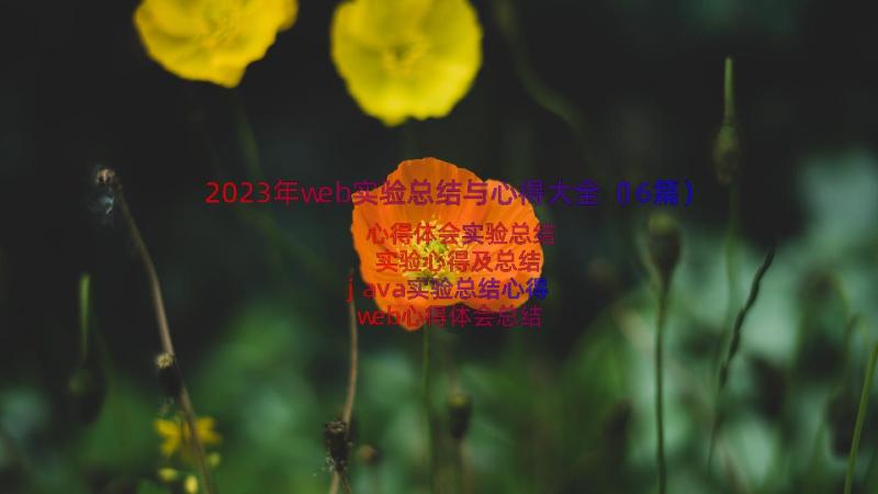 2023年web实验总结与心得大全（16篇）