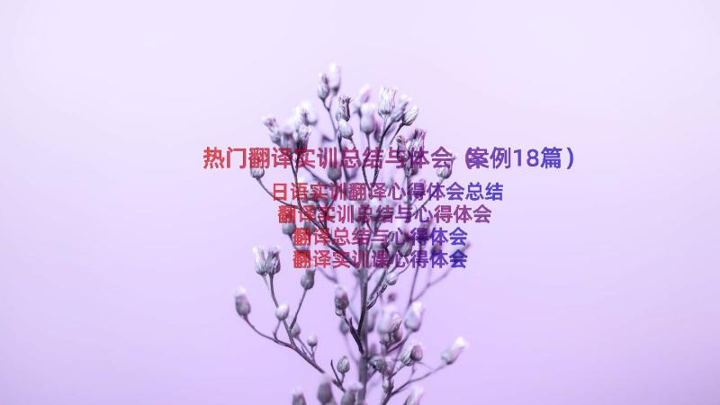 热门翻译实训总结与体会（案例18篇）