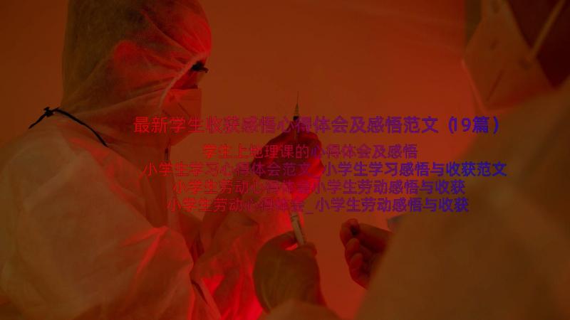 最新学生收获感悟心得体会及感悟范文（19篇）