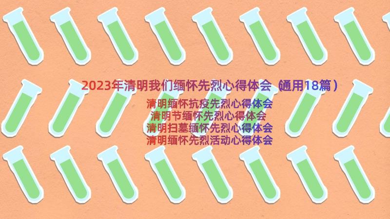 2023年清明我们缅怀先烈心得体会（通用18篇）