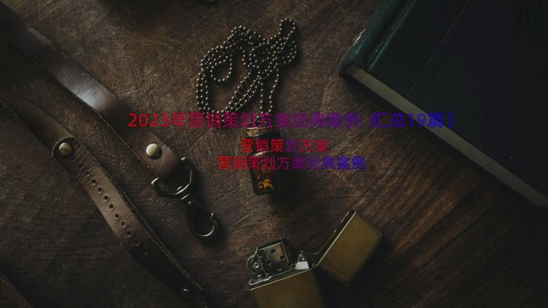 2023年营销策划方案经典案例（汇总19篇）