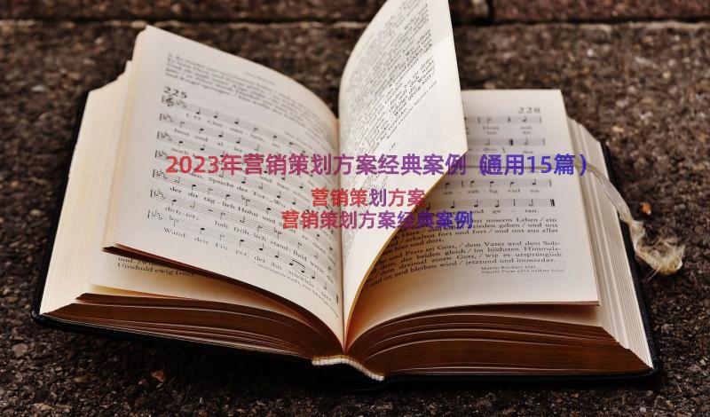 2023年营销策划方案经典案例（通用15篇）