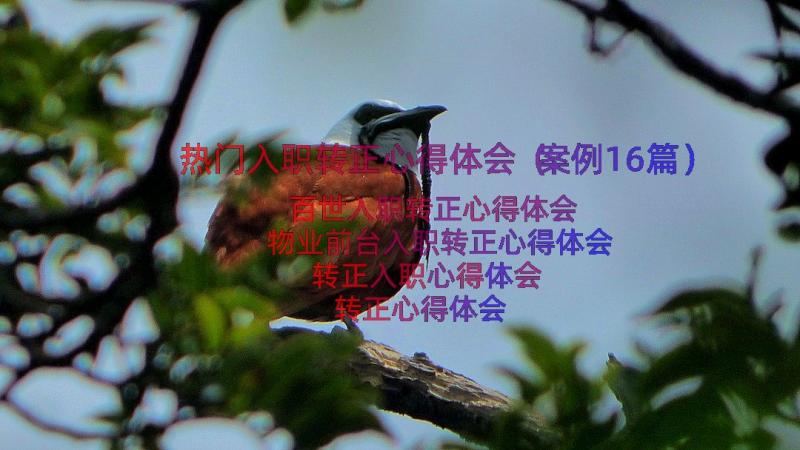 热门入职转正心得体会（案例16篇）