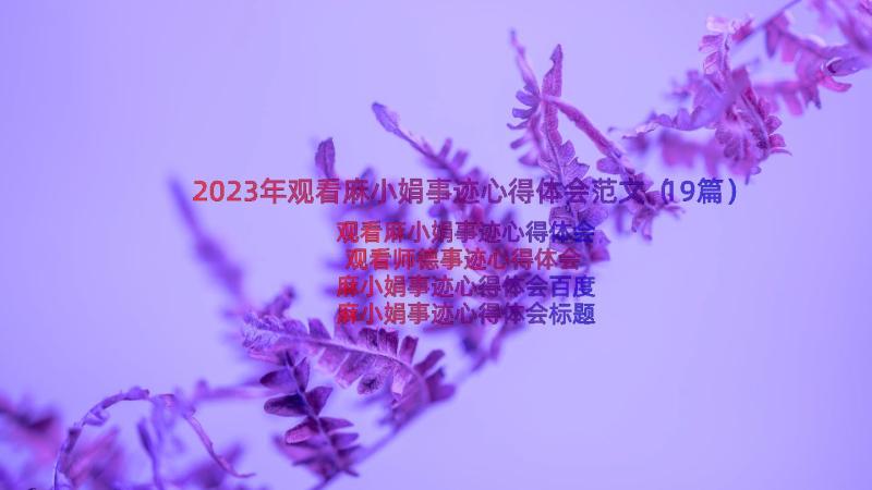 2023年观看麻小娟事迹心得体会范文（19篇）