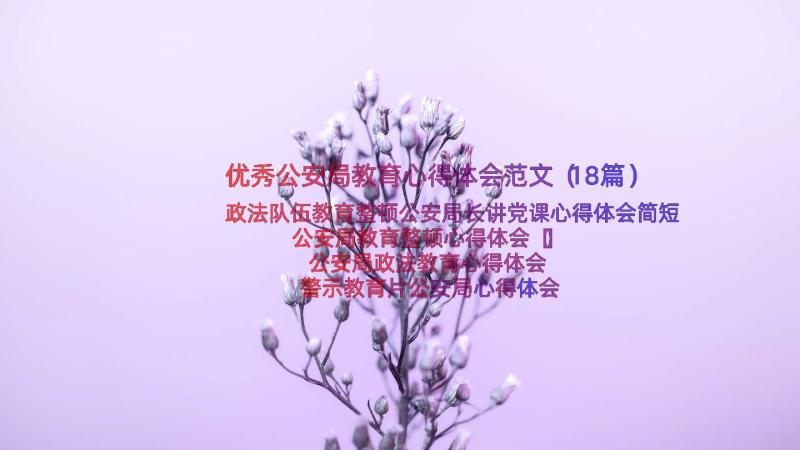 优秀公安局教育心得体会范文（18篇）