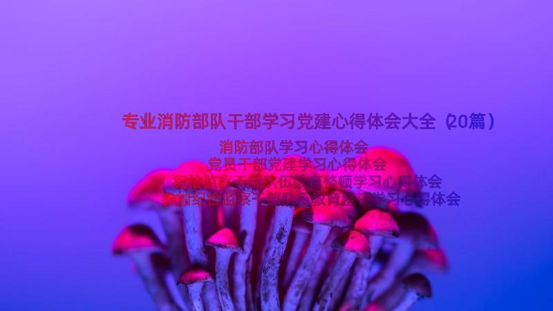 专业消防部队干部学习党建心得体会大全（20篇）