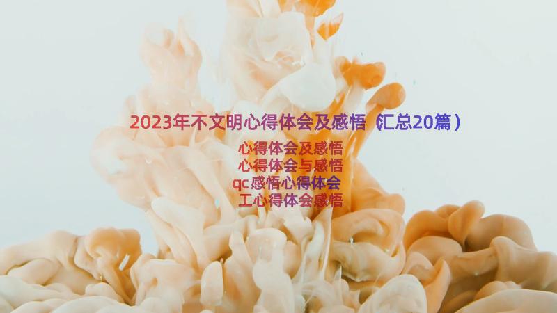 2023年不文明心得体会及感悟（汇总20篇）