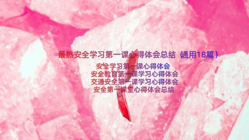 最热安全学习第一课心得体会总结（通用18篇）