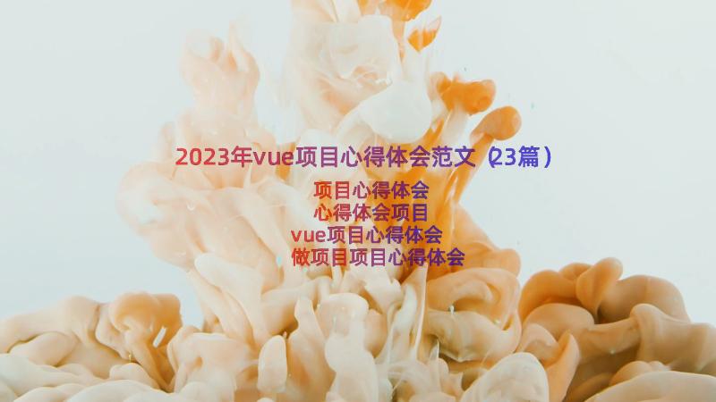 2023年vue项目心得体会范文（23篇）