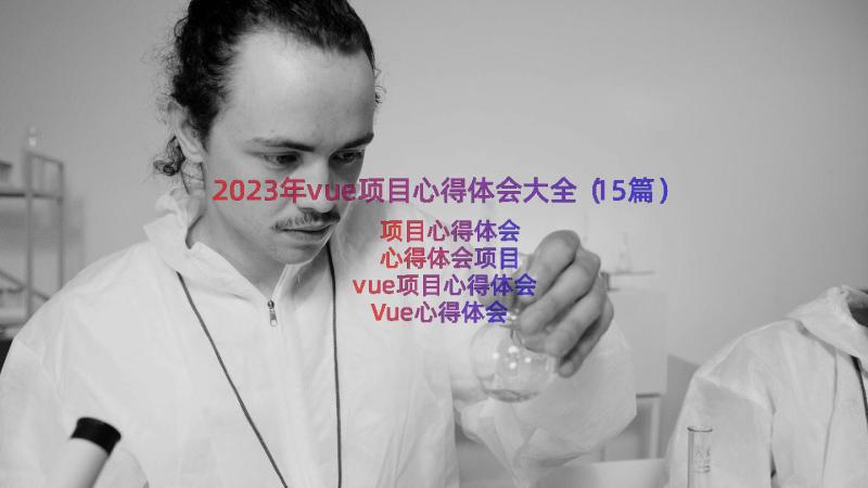 2023年vue项目心得体会大全（15篇）