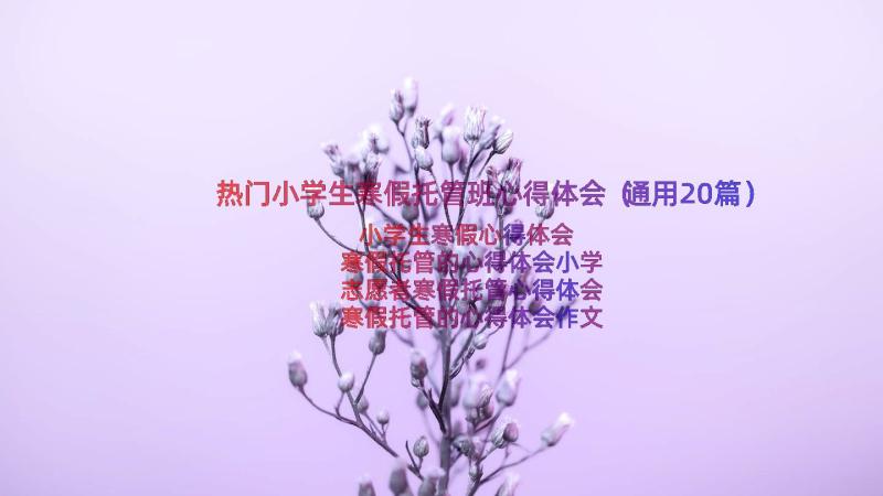 热门小学生寒假托管班心得体会（通用20篇）