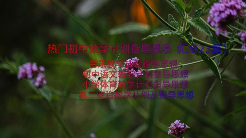 热门初中教学计划指导思想（汇总23篇）