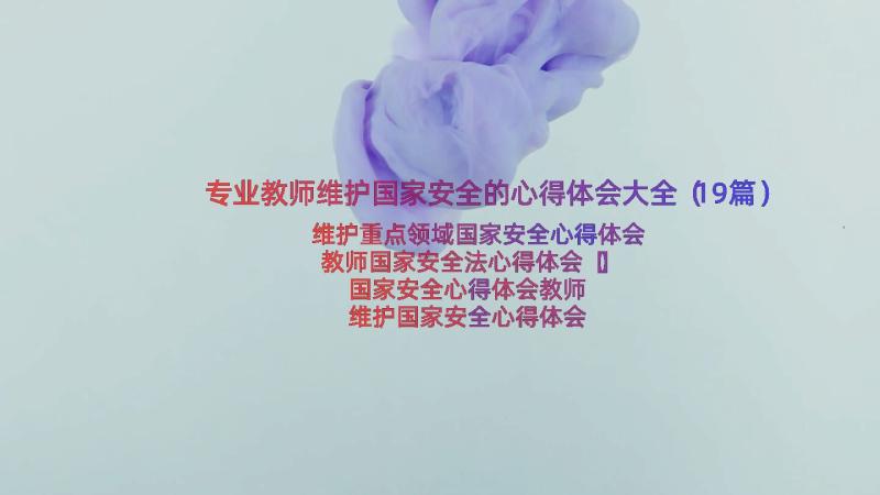 专业教师维护国家安全的心得体会大全（19篇）