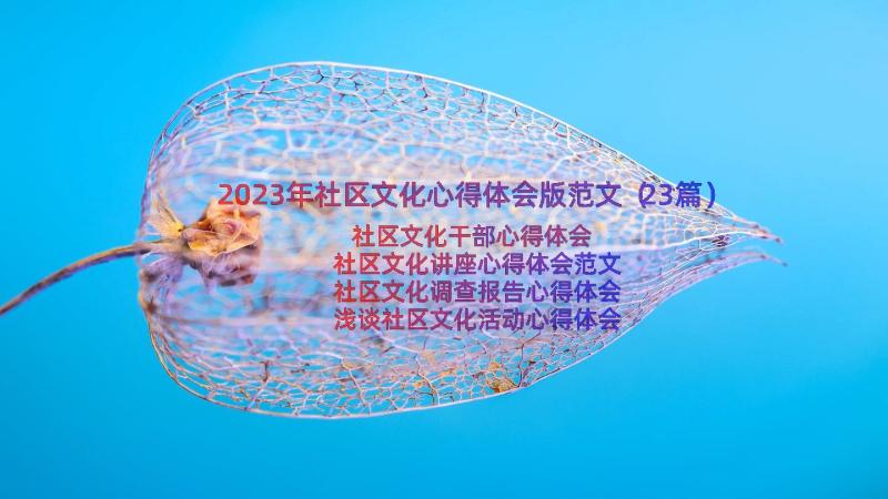 2023年社区文化心得体会版范文（23篇）